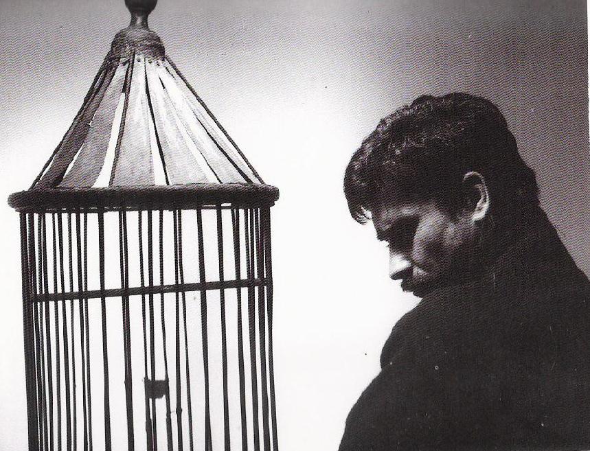 Lee más sobre el artículo Jaulas trampa como arte