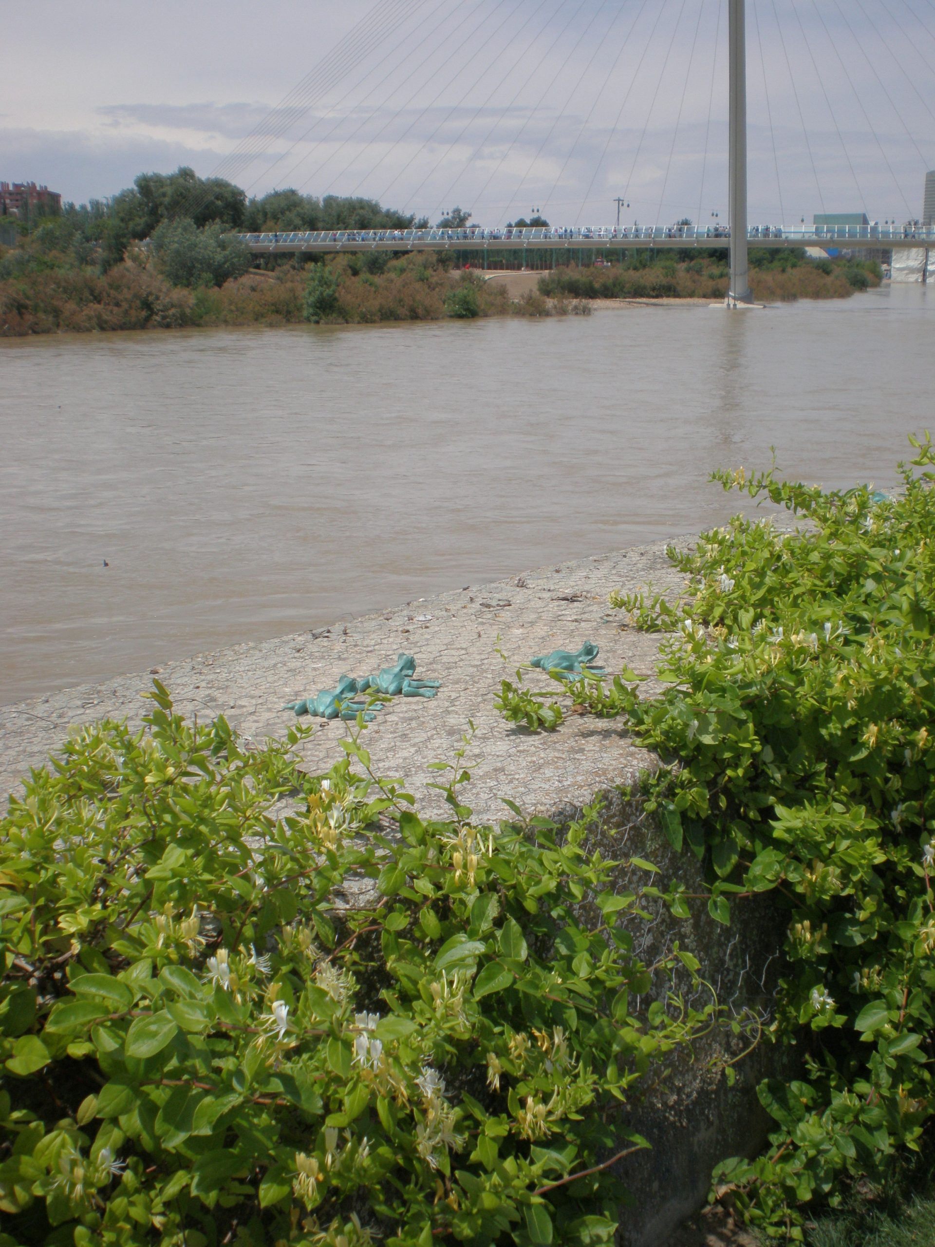 Lee más sobre el artículo Intervenciones Artísticas Expo 2008: 610 ranillas, de Miguel Ángel Arrudi y Fernando Bayo