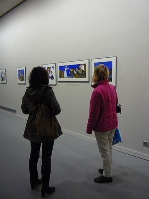 Lee más sobre el artículo Las sitiadas, exposición del artista José Luis Cano.