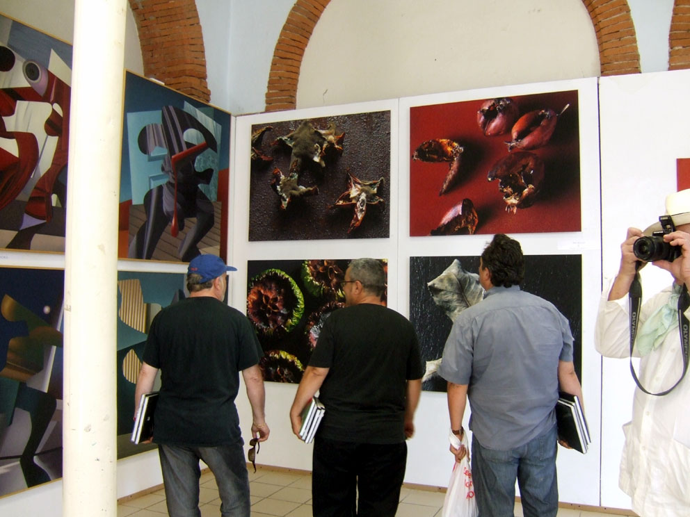 Lee más sobre el artículo La obra de arte ¿La hace el que la mira? El Salon d`Art Contemporain « Rue des arts » de Carla Bayle (Francia)