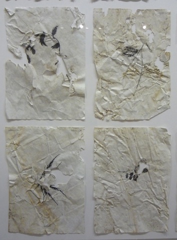 Lee más sobre el artículo Voluntad de negación: Grabado… Tiempo.