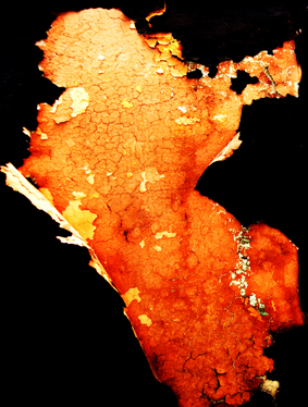 Lee más sobre el artículo Fotografía y pintura: Lo informe y la figura en la fotografía de Cornel Drinovan