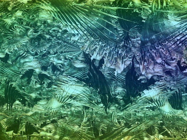 Lee más sobre el artículo Infografías de Ángel Fábrega