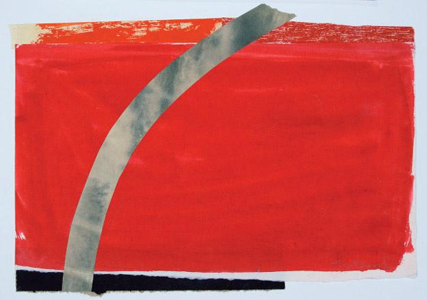 Lee más sobre el artículo Silvia Pagliano