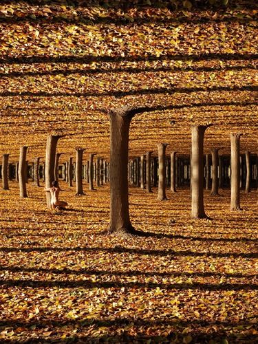 Lee más sobre el artículo Nacho Arantegui. Diario de un río