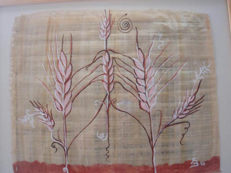 Lee más sobre el artículo Cristina Beltrán y su naturaleza vegetal