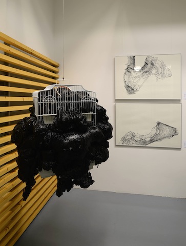 Lee más sobre el artículo Un tsunami de materia y expresión