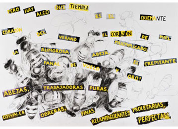 Lee más sobre el artículo Cuadros de Sarah Shackleton