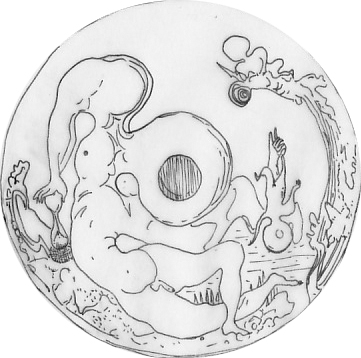 Lee más sobre el artículo La vida: un contínuo acto de creación