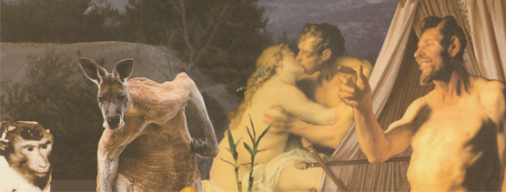 Lee más sobre el artículo Sobre collage y Arte: Ignacio Mayayo