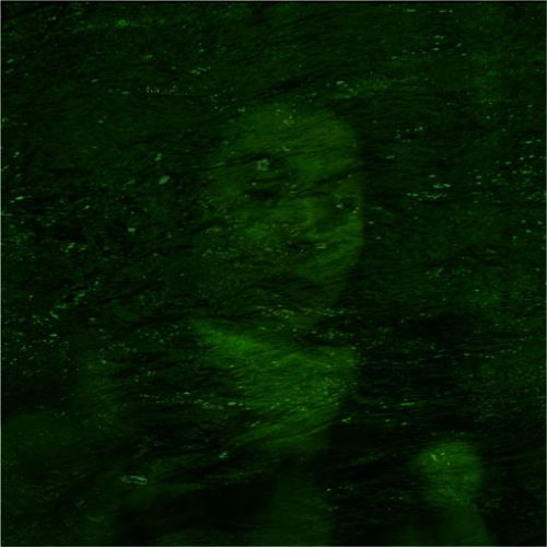 Lee más sobre el artículo Fotografías de Delia Maza y Marta Corada, pinturas de José Manuel Ruiz Monserrat, y exposición conjunta de Mercé Bravo y Salvador Dastis