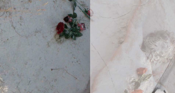 Lee más sobre el artículo Cuadros de Héctor Puértolas Capdevila, pinturas de Alejandra Quirós, acuarelas de Ana Muñoz y concurso de Arte sobre Camisetas