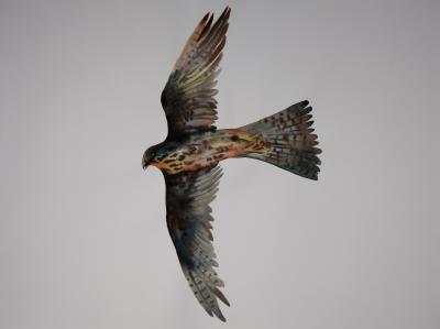 Lee más sobre el artículo Obras de la pintora Lina Vila