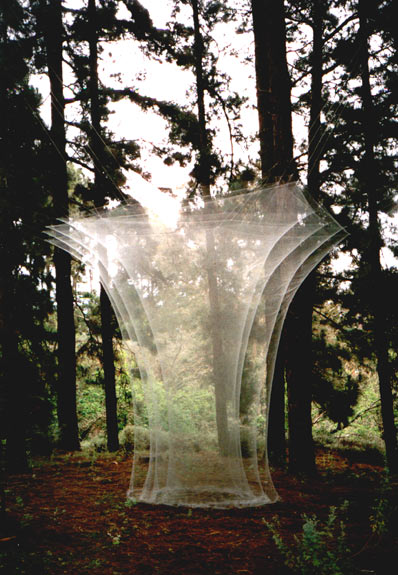 Lee más sobre el artículo 7 x 1 Usos