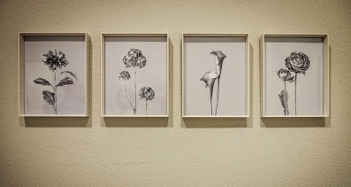 Lee más sobre el artículo Franch y Sánchez Marco