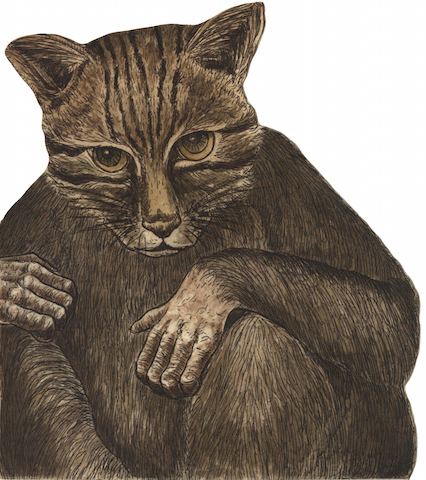 Lee más sobre el artículo Mariano Castillo.  Bestiario apócrifo