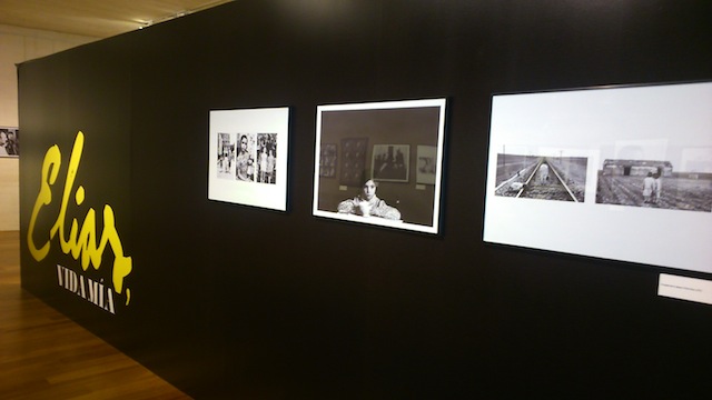 Lee más sobre el artículo Exposición Elías Querejeta