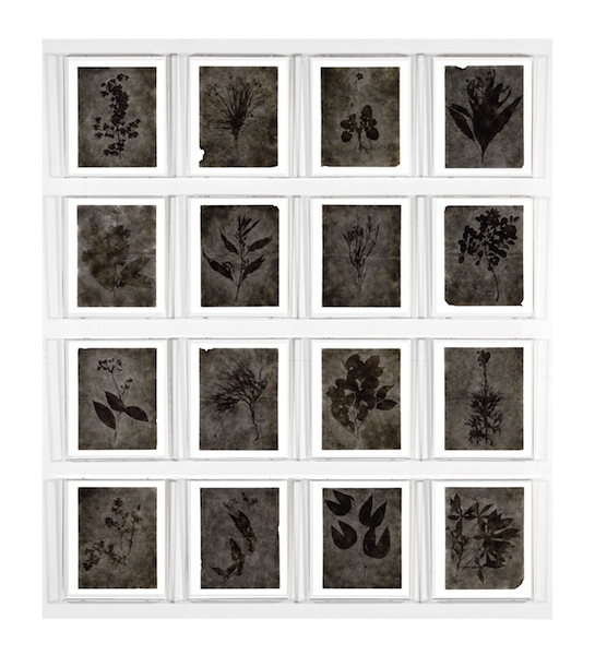 Lee más sobre el artículo Nueva cosecha de talentos: Premio Ibercaja de Pintura Joven 2015