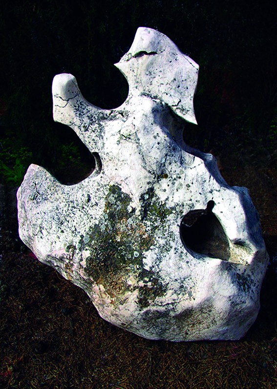 Lee más sobre el artículo La contemplación de piedras evocadoras como disciplina artística contemporánea