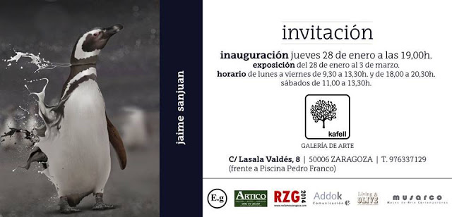 Lee más sobre el artículo Versatilidad temática de Jaime Sanjuan