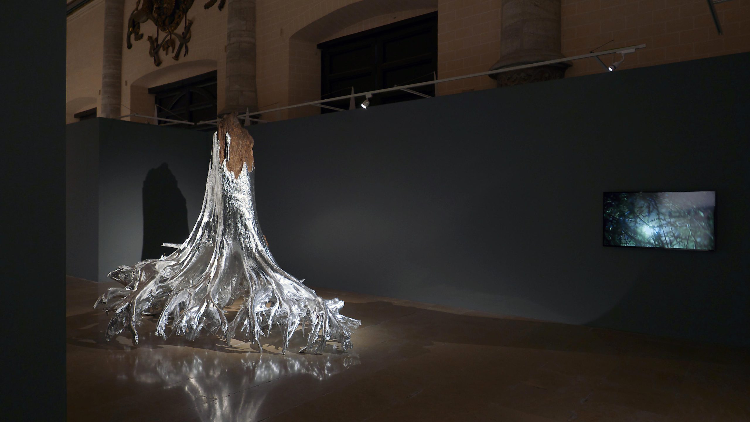 Lee más sobre el artículo Dos colectivas: La mirada rompe el tiempo y Círculo de Tiza