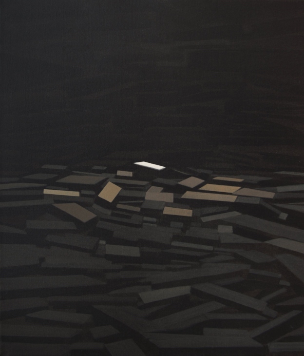 Lee más sobre el artículo Imágenes-luciérnaga