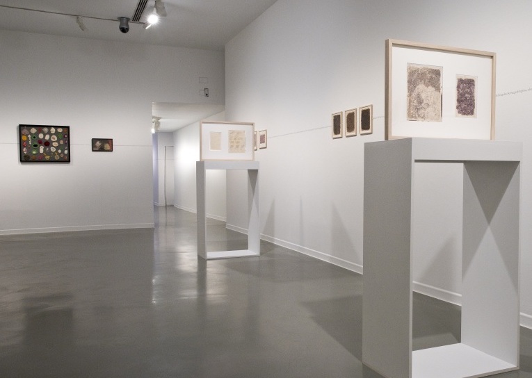 Lee más sobre el artículo Las artes decorativas gobernarán los territorios sin excepción.