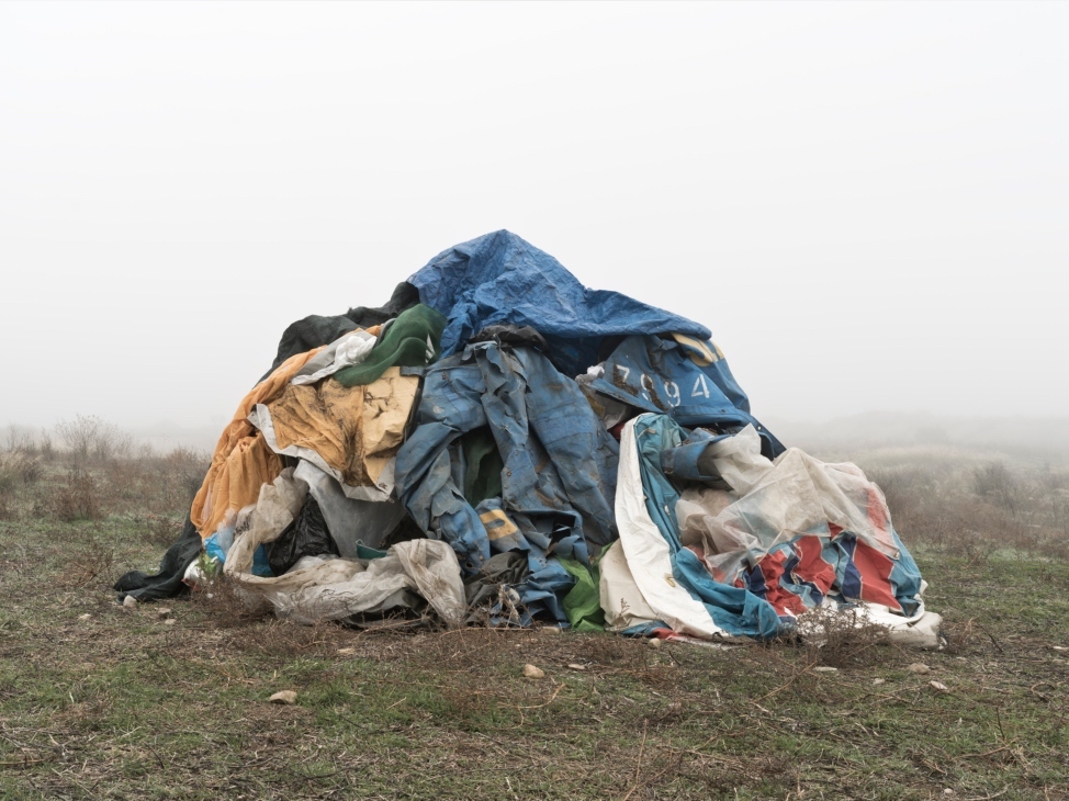 Lee más sobre el artículo Paisajes de excrecencia