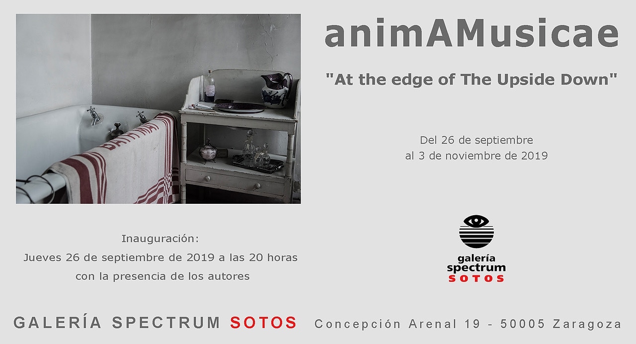 Lee más sobre el artículo Fotografías de Pilar Irala-Hortal y Gonzalo Arruego