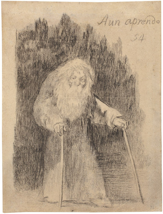 Lee más sobre el artículo Goya: Arte, pensamiento y voluntad