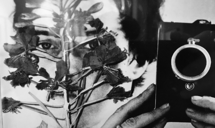 Lee más sobre el artículo Inge Morath. La vida. La fotografía