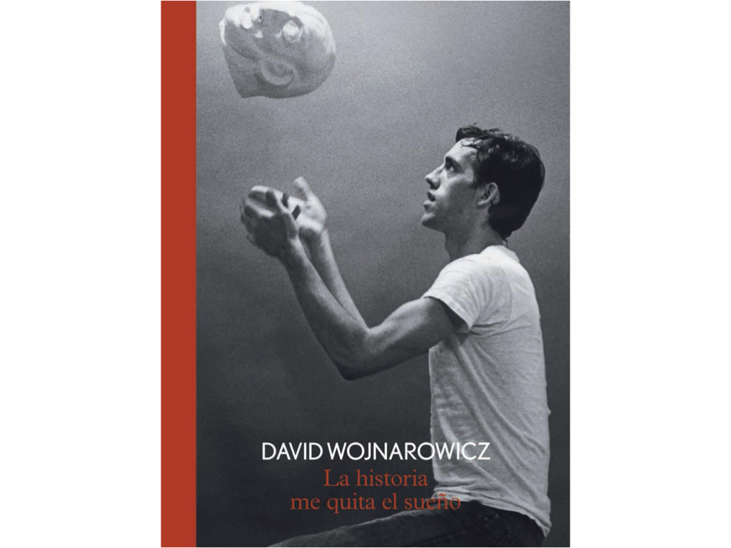 Lee más sobre el artículo David Wojnarowicz: La Historia me quita el sueño