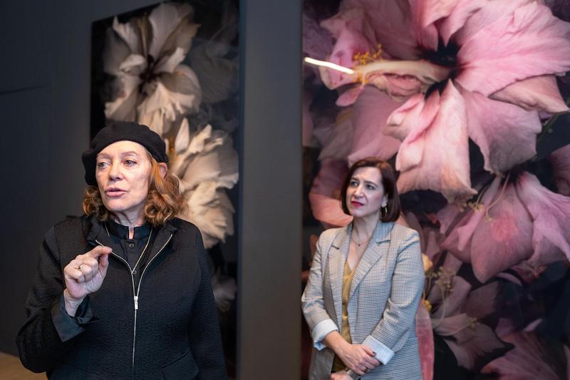 Lee más sobre el artículo Luz de jardín sonoro