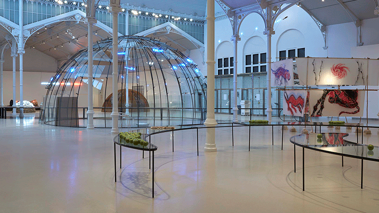 Lee más sobre el artículo Retrospectiva de Mario Merz y sus reflexiones poéticas