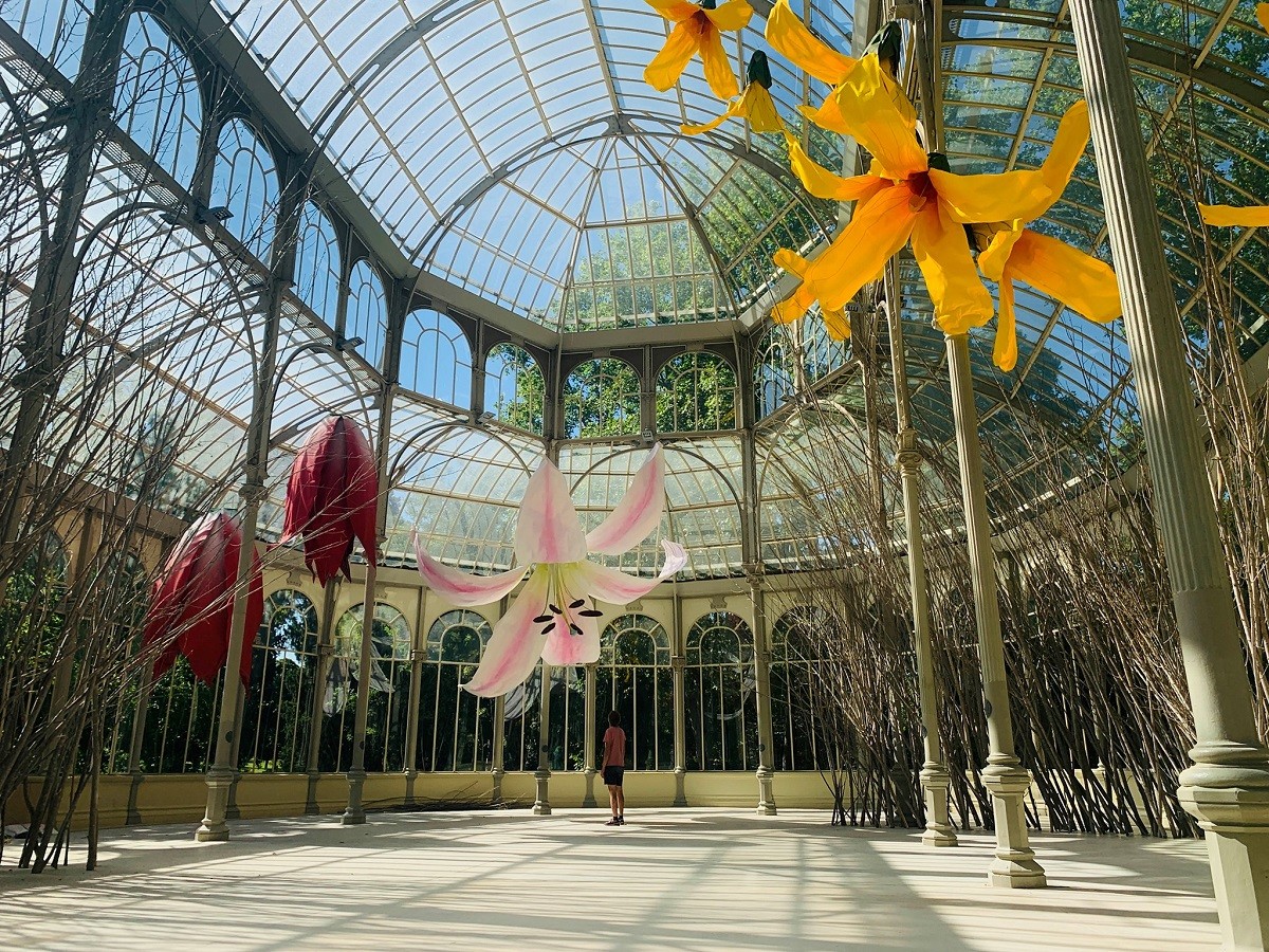 Lee más sobre el artículo Metáforas y naturaleza al encuentro con el público