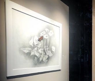 Lee más sobre el artículo Dibujos de Pilar García Verón