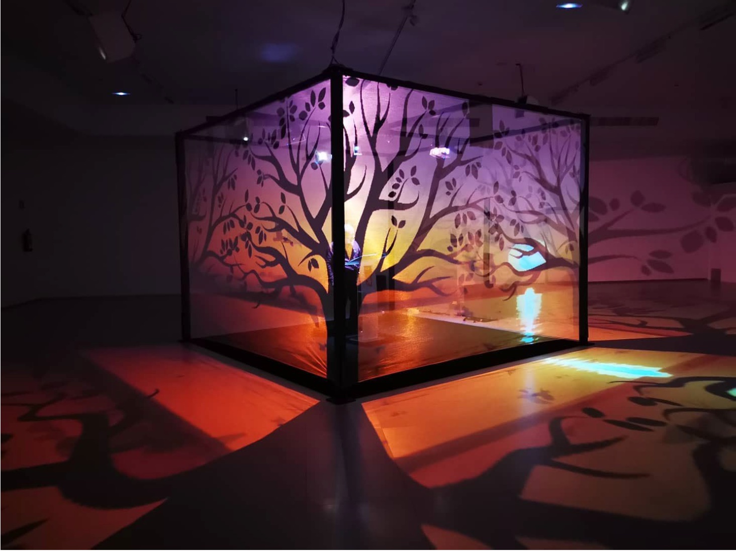 Lee más sobre el artículo 48 CUBE: donde el arte y la tecnología unen diferentes disciplinas.