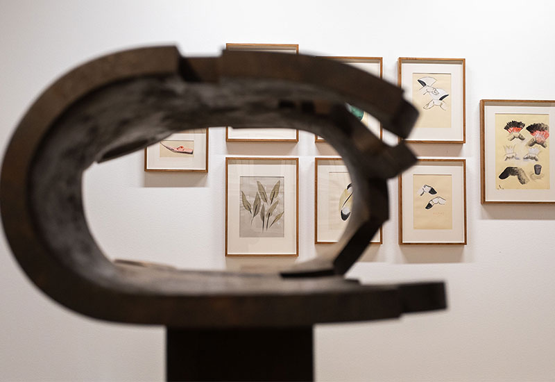 Lee más sobre el artículo Los destacados de la colección Telefónica desembarcan en La Lonja