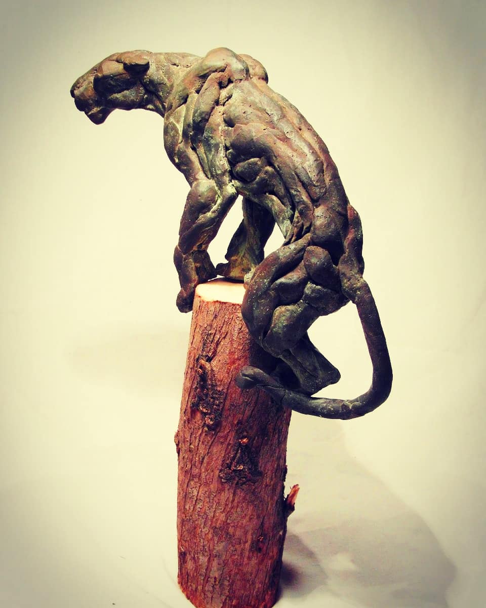 Lee más sobre el artículo José Miguel Pino o la forja de un destino