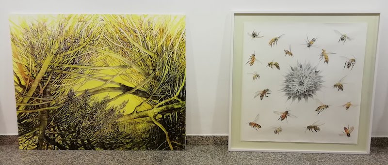 Lee más sobre el artículo XII Premio de Expresión Plástica convocado por la Fundación Ramón J. Sender y el Centro de la UNED de Barbastro