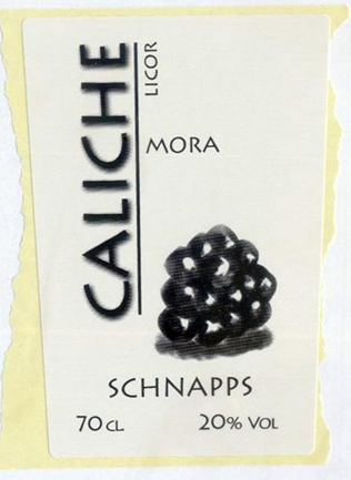 Lee más sobre el artículo Proceso de diseño y rediseño de imagen corporativa