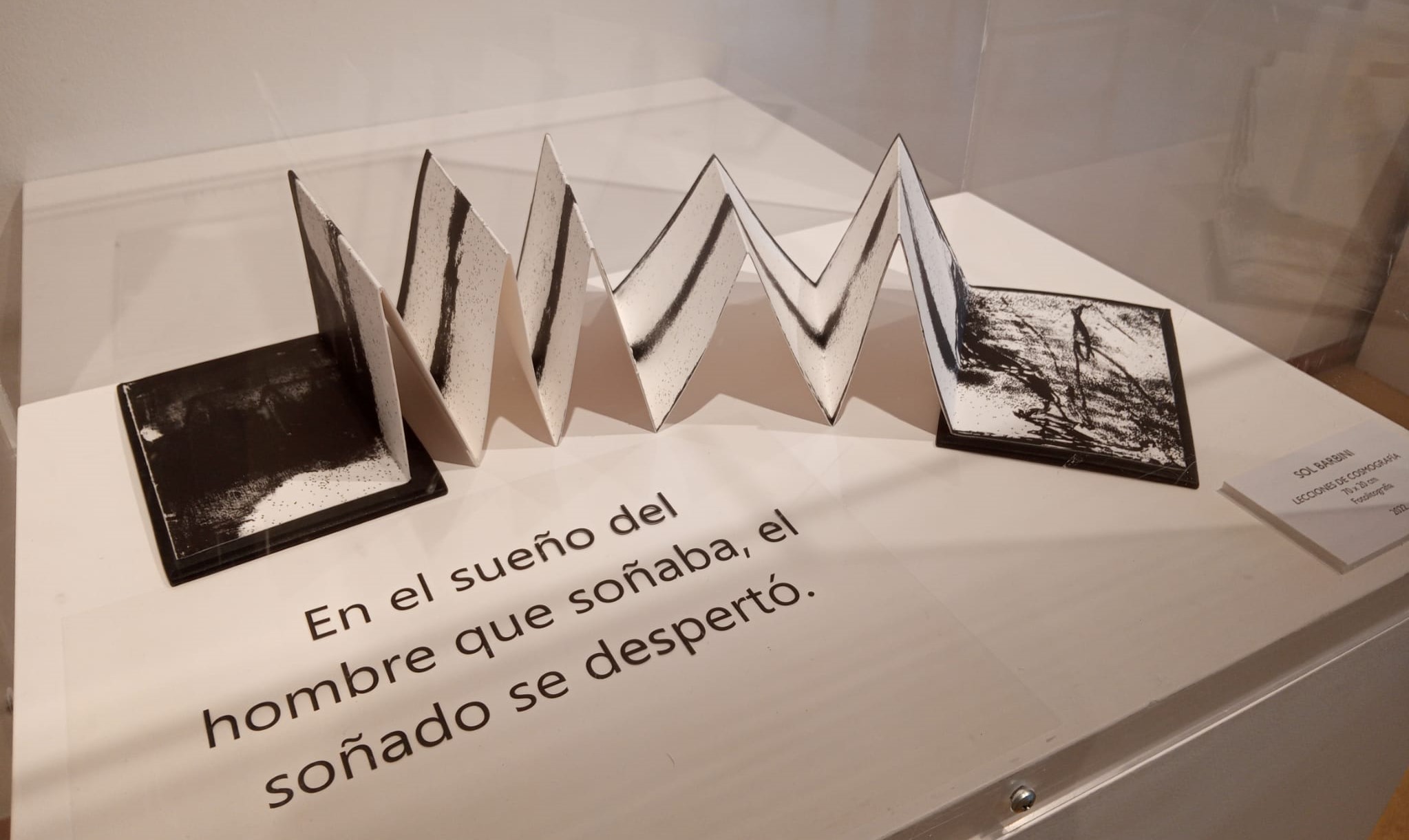 Lee más sobre el artículo Libros de artista