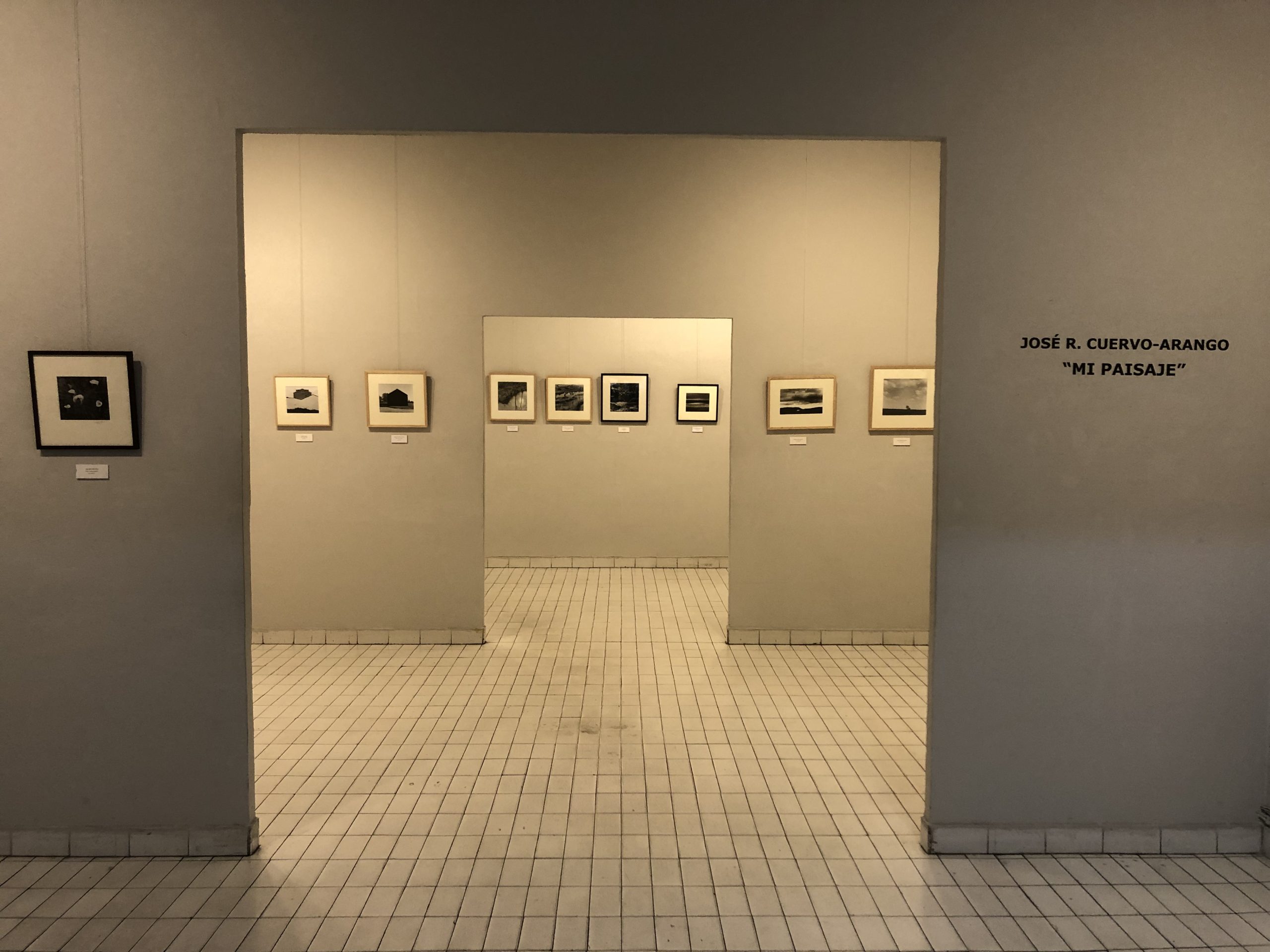 Lee más sobre el artículo El paisaje de José R. Cuervo-Arango