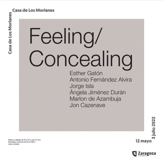 Lee más sobre el artículo Feeling/Concealing
