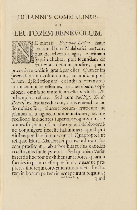 Lee más sobre el artículo Kiki de Montparnasse con un pie en el jardín de Malabar