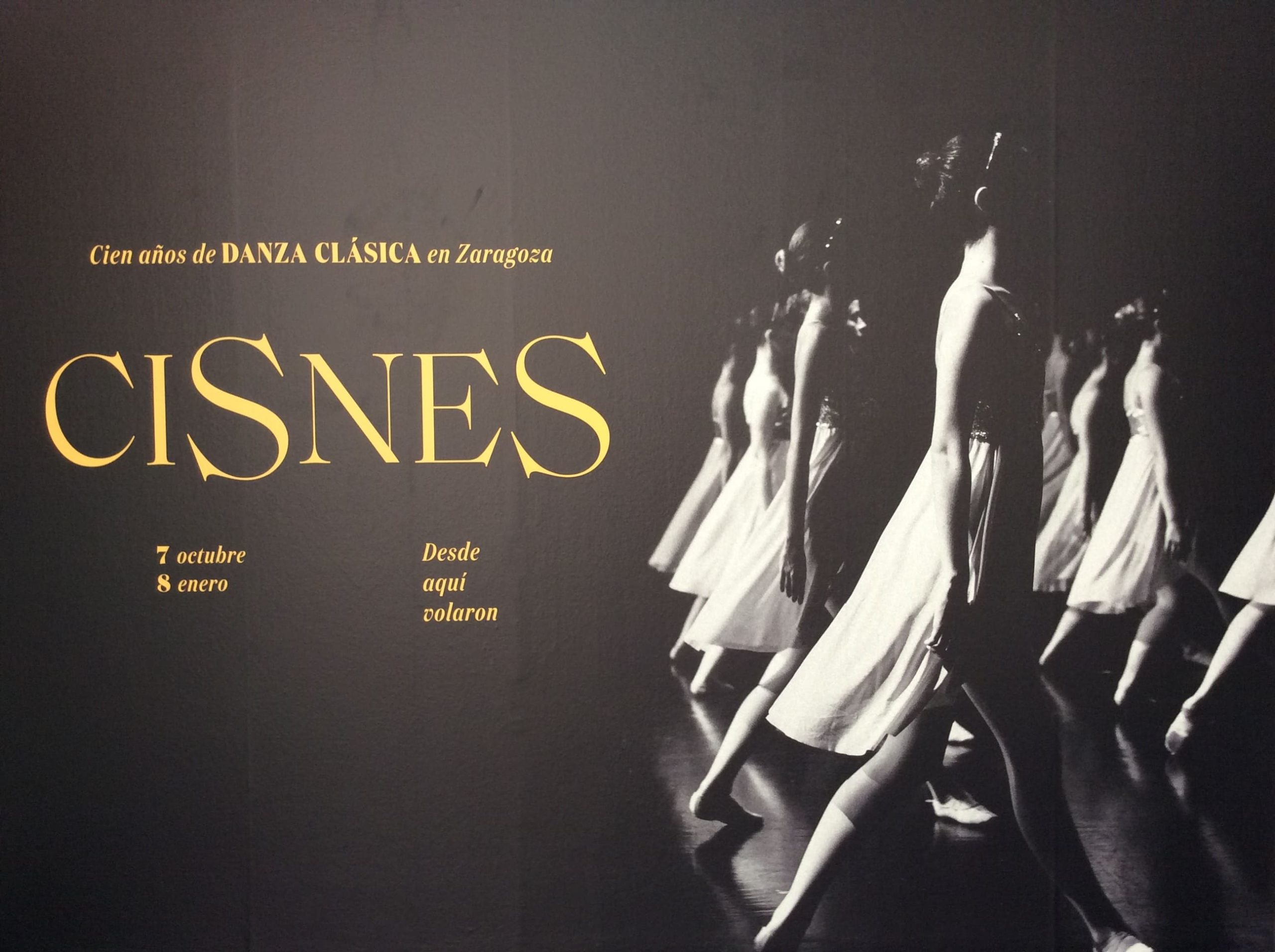 Lee más sobre el artículo CISNES. Cien años de danza clásica en Zaragoza
