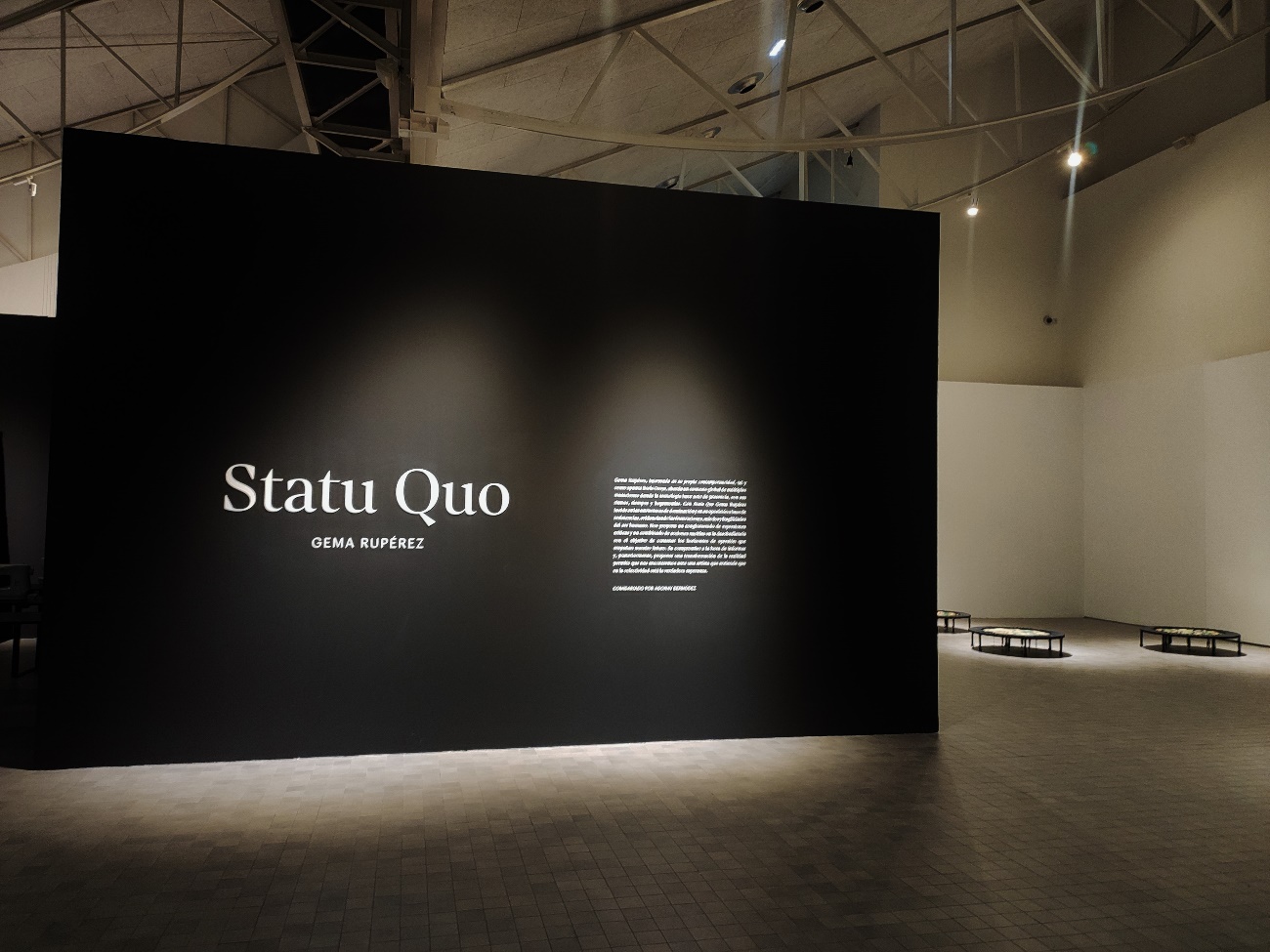 Lee más sobre el artículo Statu Quo. Gema Rupérez