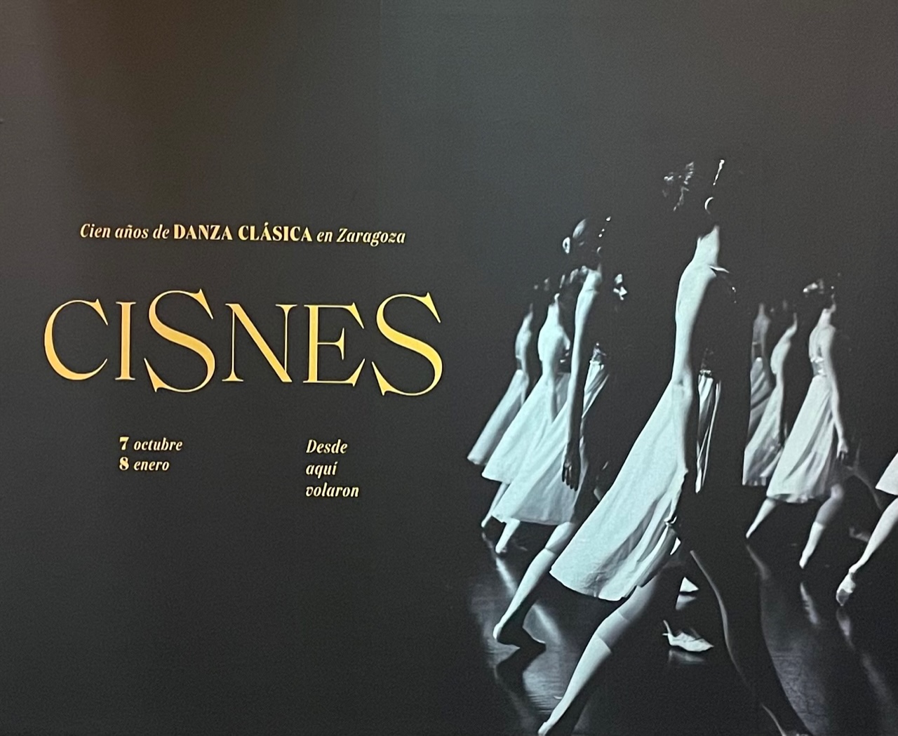 Lee más sobre el artículo Cisnes. Cien años de danza clásica en Zaragoza