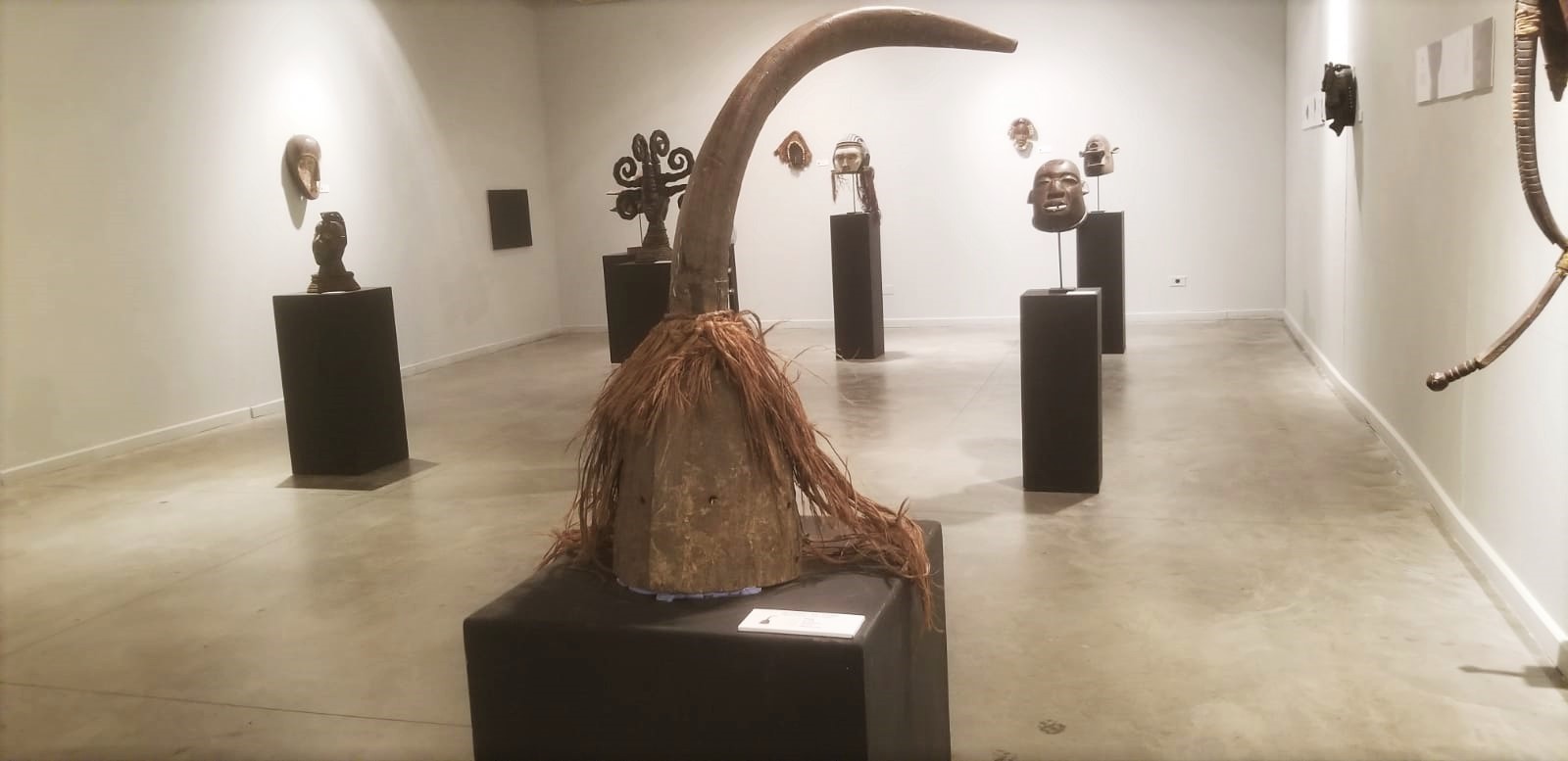 Lee más sobre el artículo Miradas descolonizadas. Las máscaras de los espíritus