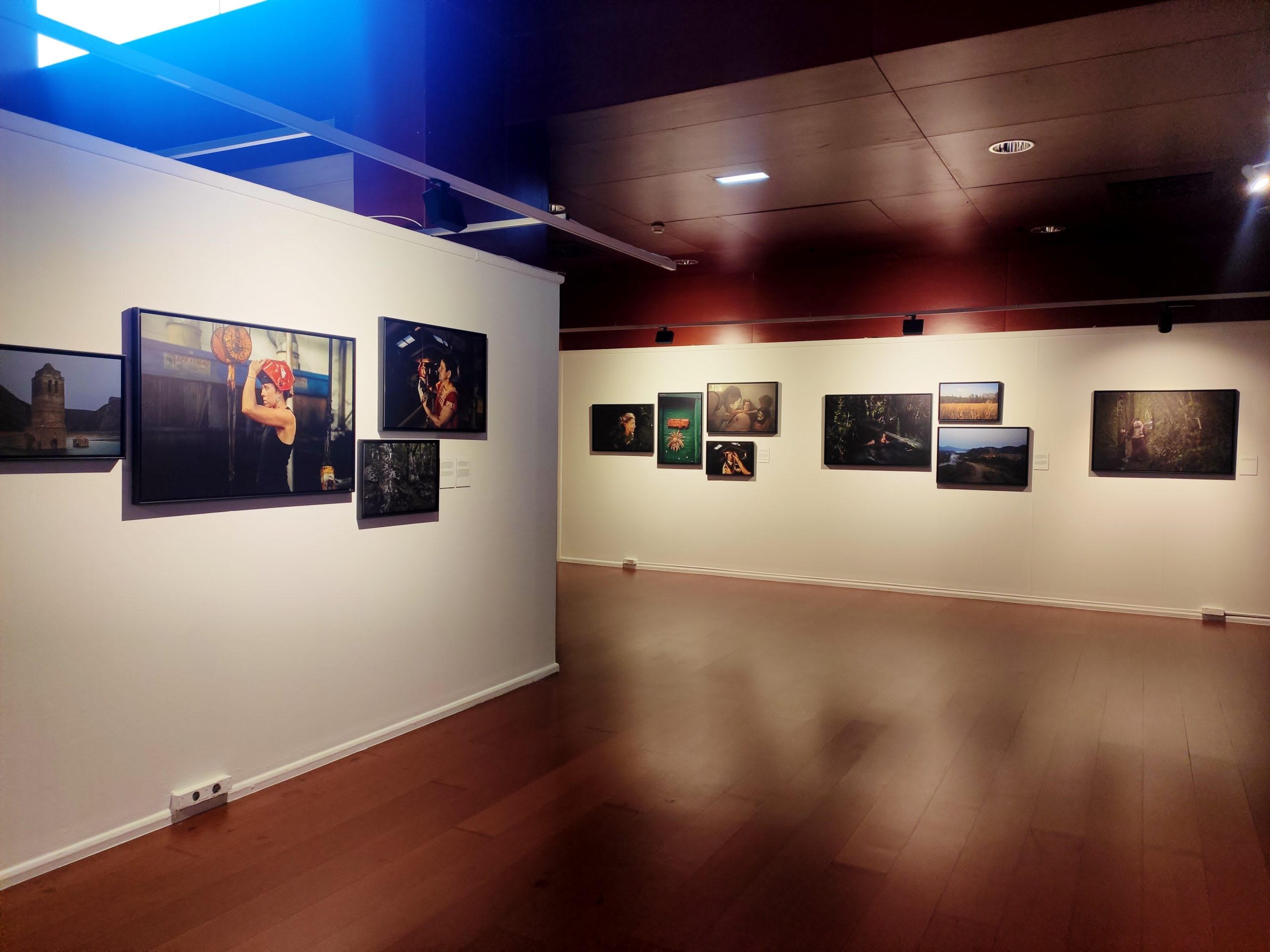 Lee más sobre el artículo «Brujas» Judith Prat